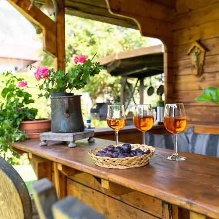 Haus Wammes Daire Silz